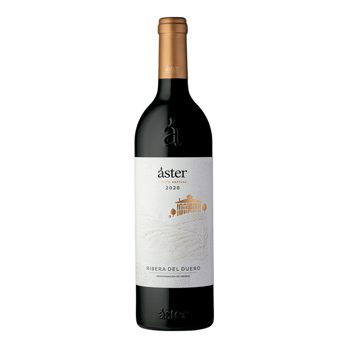 Áster Crianza