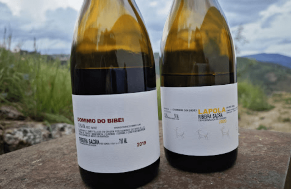 Bodega Dominio do Bibei