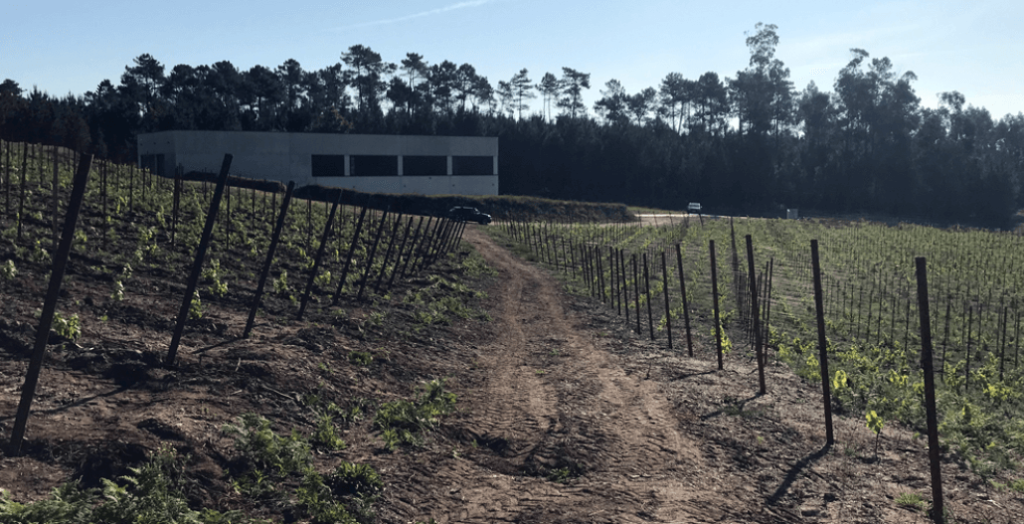 Bodega Mar de Envero