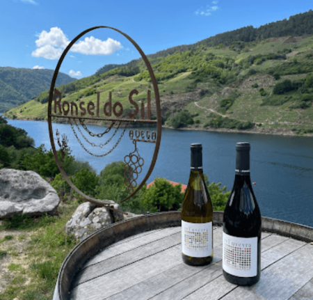 Bodega Ronsel do Sil