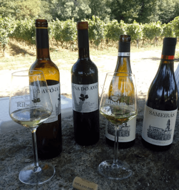 Bodega Sameirás