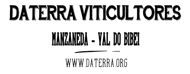 Daterra Viticultores Logo