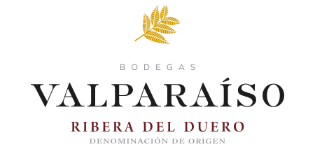 Logo-Bodegas-Valparaiso