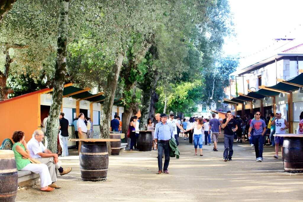 Imagen tipo de uva